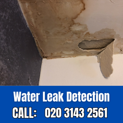 Expert Water Leak Detection Services in Crouch End | Crouch End Leak Detection